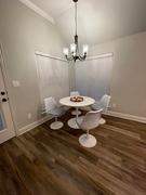 Lexmod Lippa Dining Side Chair Review