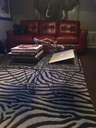 Lexmod Prism Rectangle Coffee Table Review
