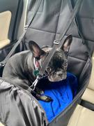 Paw Roll Deluxe Travel Puppy Car Seat Cover Review