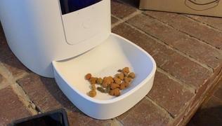 Paw Roll PawRoll Automatic Dog & Cat Feeder Review