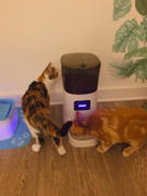 Paw Roll PawRoll Automatic Dog & Cat Feeder Review