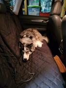 Paw Roll PawRoll® Non-Slip Dog Back Seat Cover Review