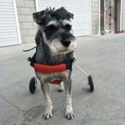 Paw Roll PawRoll™ Dog Wheelchair Review