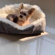 Paw Roll PawRoll Self-Warming Pet Convertible Bed Review
