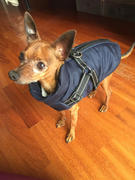 Paw Roll PawRoll Dog Winter Jacket Review