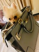 Paw Roll Parisian Luxury PU Leather Dog Carrier Review