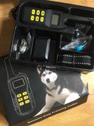 Paw Roll PawRoll™ Dog Training Shock Collar Review