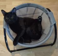 Paw Roll PawRoll Cat Hammock Bed Review
