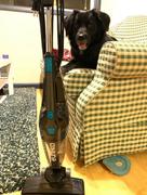 Paw Roll 3-In-1 Eureka Blaze™ Vacuum Cleaner (For Pet Hair & Home Cleaning) Review