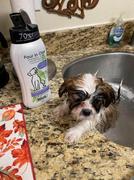 Paw Roll Wahl All-Purpose Calming Pet Shampoo Review