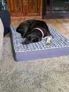 Paw Roll Western Home Orthopedic Dog Bed Review