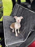 Paw Roll NJNJ® Non-Slip Dog Back Seat Cover Review