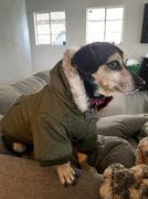 Paw Roll PawRoll Military Style Winter Dog Jacket Review