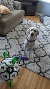 Paw Roll Christmas Dog Toy - Interactive Dog Soccer Ball Review