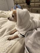 Paw Roll PawRoll™ Pet Bathrobe Pajama With Hood Review