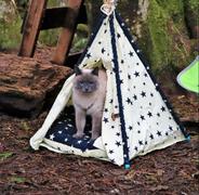Paw Roll ZaPaw Dog Teepee With Cushion Review