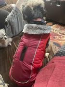 Paw Roll PawRoll™ Winter Calming Dog Jacket Review