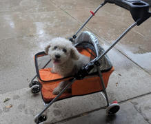 Paw Roll PawRoll Waterproof Portable Travel Pet Stroller Review