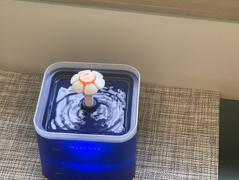 Paw Roll PawRoll™ Automatic Pet Water Fountain with LED Light Review