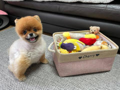 Paw Roll Personalized PawRoll™ Dog toy box Review
