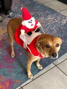 Paw Roll Santa Claus Riding Christmas Dog Costume Review