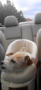 Paw Roll HipiPet™ Console Dog Car Seat Review