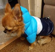 Paw Roll PawRoll Cold Weather Warm Coats Review