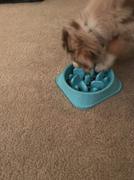 Paw Roll PawRoll Slow Feeder Dog Bowl Review