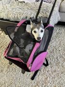 Paw Roll PawRoll Deluxe Pet Travel Backpack with Wheels Review