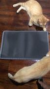 Paw Roll PawRoll Waterproof Cat Litter Mat Review