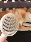 Paw Roll PawRoll Pet Hair Remover Review