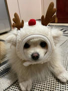 Paw Roll PawRoll Christmas Dog Hats & Bandanas Review