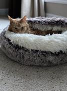 Paw Roll PawRoll Furry Plush Cave Cat Bed Review