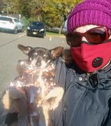 Paw Roll PawRoll Golden/Silver Waterproof Winter Jacket Review