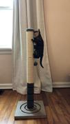 Paw Roll PawRoll™ Cat Scratch Post (2022) Review