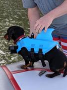Paw Roll PawRoll Dog Life Jacket (2022) Review