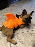 Paw Roll PawRoll Dog Life Jacket (2022) Review