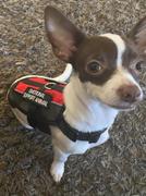 Paw Roll PawRoll™ Service Dog Vest Review