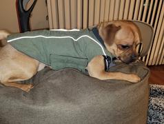 Paw Roll All-Purpose™ Reflective Quilted Dog Jacket Review