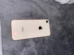Plug (formerly eCommsell) iPhone 8 Plus Gold 64GB (AT&T Only) Review