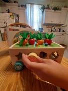 Project Montessori Canada Montessori Garden Shape Sorter Review