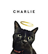 Fur Gift CUSTOM PET PORTRAIT PRINT Review