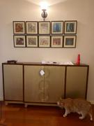 Modest Hut Belino Craftsman Cabinet Review