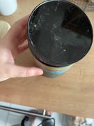 Primal Harvest Collagen MCT Review