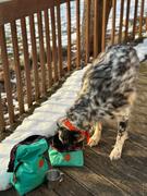 Wilderdog Backpacking Bowl Review