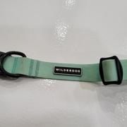 Wilderdog Teal Waterproof Collar Review