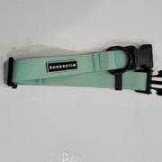 Wilderdog Teal Waterproof Collar Review