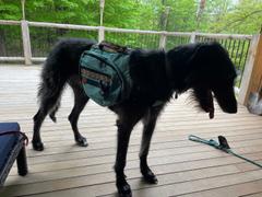 Wilderdog Dog Backpack Review