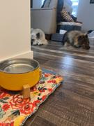 Wilderdog Stainless Steel Dog Bowls Review