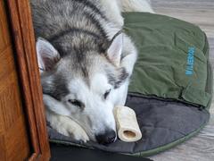 Wilderdog Sleeping Bag Review